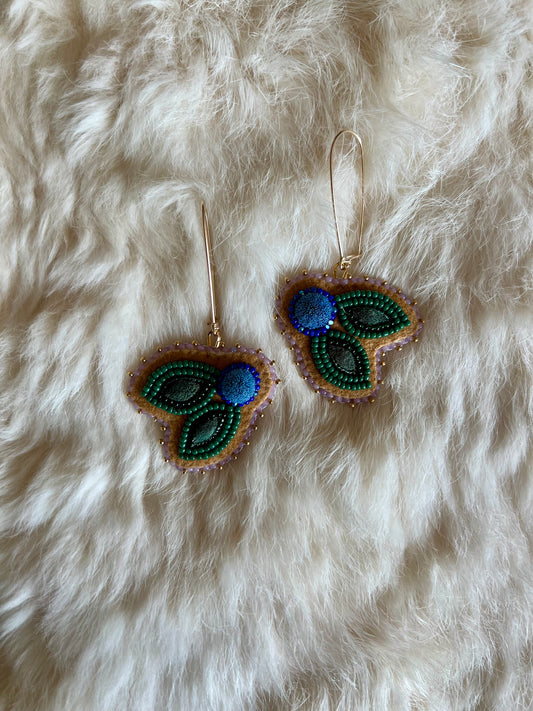 Moose Hide Blueberries