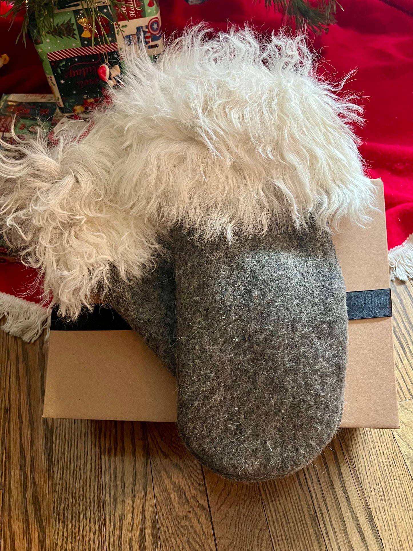 XL Handmade Goat Trimmed Wool Mittens